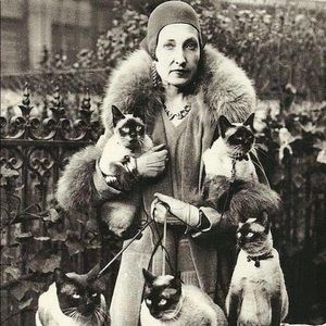 Meet your Posher, Brigit